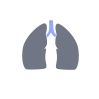 Pulmonology