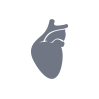icon of Cardiology