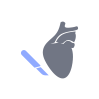 icon of Thoracic & Cardiovascular Surgery